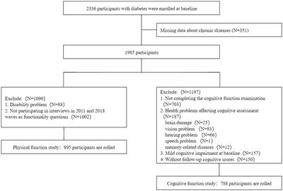The effect of multimorbidity patterns on physical and cognitive function in diabetes patients: a longitudinal cohort of middle-aged and older adults in China